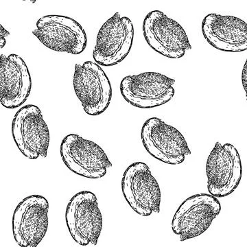 Seamless pattern pile sunflower seed sketch hand drawn Stock Illustration