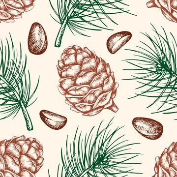 Seamless pattern with pine cone and nuts. Stock Illustration