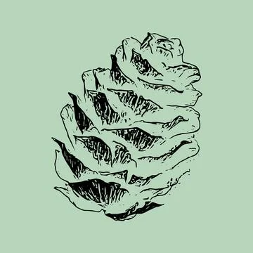 Seamless pattern of pine cones black illustration on bright green background. Stock Illustration