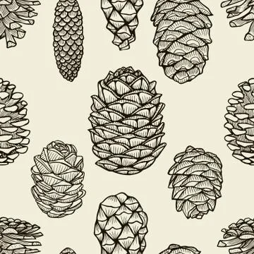 Seamless pattern with pine cones Stock Illustration
