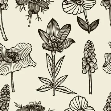 Seamless pattern with pine cones Stock Illustration