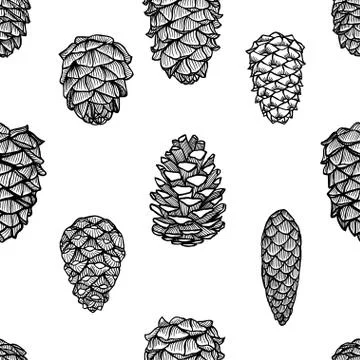 Seamless pattern with pine cones Stock Illustration