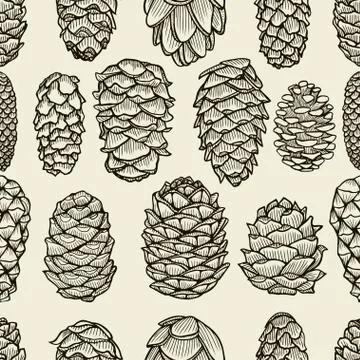 Seamless pattern with pine cones Illustrazione stock