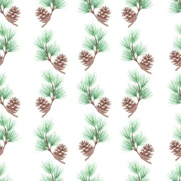 Seamless pattern with pine cones Stock Illustration