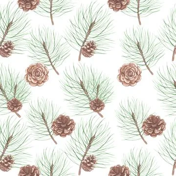 Seamless pattern with pine cones Illustrazione stock