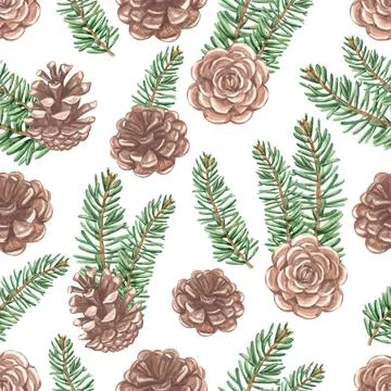 Seamless pattern with pine cones Illustrazione stock