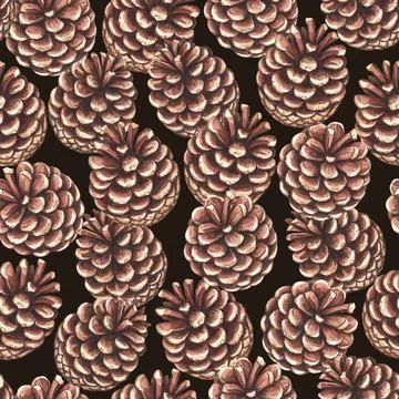 Seamless pattern with pine cones. Watercolor realistic illustration for design Stock Illustration