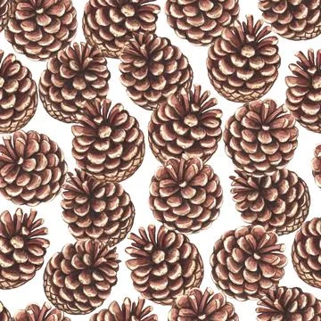 Seamless pattern with pine cones. Watercolor realistic illustration for design Stock Illustration
