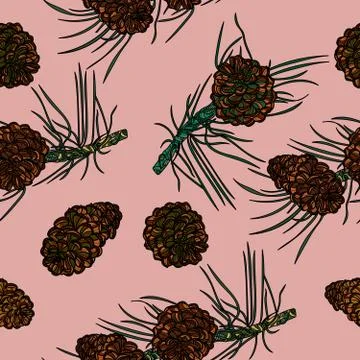Seamless pattern with with pinecones. Stock Illustration