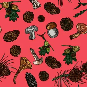 Seamless pattern with with pinecones, mushrooms and acorns on the branch. Stock Illustration