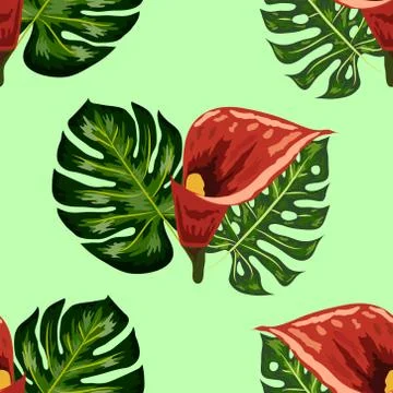 Seamless pattern with pink and purple calla lilies on white. Illustrazione stock