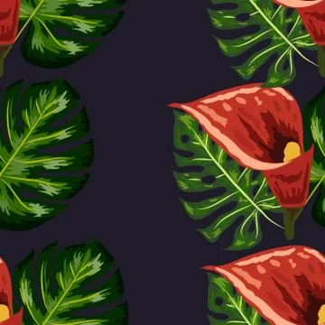 Seamless pattern with pink and purple calla lilies on white. Illustrazione stock