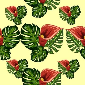 Seamless pattern with pink and purple calla lilies on white. Illustrazione stock