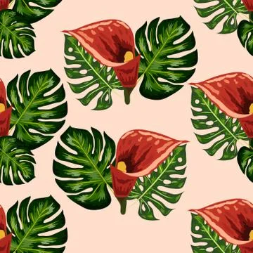 Seamless pattern with pink and purple calla lilies on white. Illustrazione stock