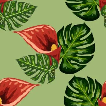 Seamless pattern with pink and purple calla lilies on white. Illustrazione stock