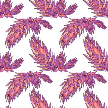 Seamless pattern pink and purple succulent haworthia home plant on white. Art Stock Illustration