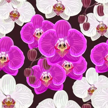 Seamless pattern with pink and white orchids on black background Stock Illustration
