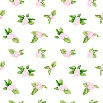 Seamless pattern with pink berries on a white background. Hand watercolor. Stock Illustration