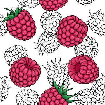 Seamless pattern pink, black and white raspberries , symbol of summer. design 스톡 일러스트