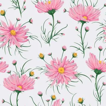 Seamless pattern with pink chamomile flowers Stock Illustration