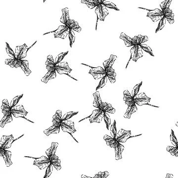Seamless pattern pink clematis sketch hand drawn Stock Illustration
