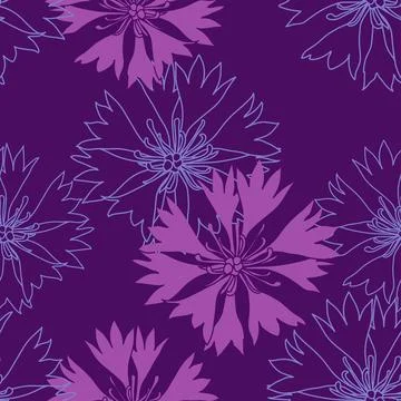 Seamless pattern with pink cornflowers flowers, Floral graphic design Stock Illustration