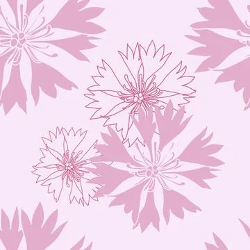 Seamless pattern with pink cornflowers flowers, Floral graphic design Stock Illustration