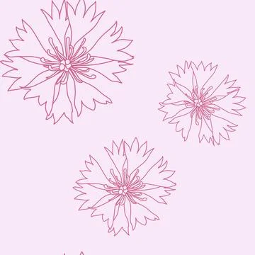 Seamless pattern with pink cornflowers flowers, Floral graphic design Stock Illustration