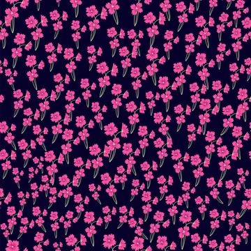 Seamless pattern of pink elegant and refined flowers, summer field 스톡 일러스트