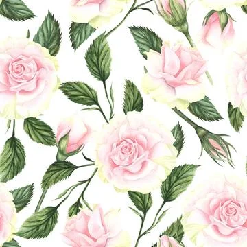 Seamless pattern with pink flowers and leaves on white background, watercolor Stock Illustration