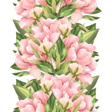 Seamless pattern with pink flowers on white background. Floral border Stock Illustration