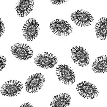 Seamless pattern pink gerbera daisy sketch hand drawn Stockillustratie
