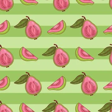Seamless Pattern Pink Guava fruit on green Stripe Background. Vector illust.. Illustrazione stock