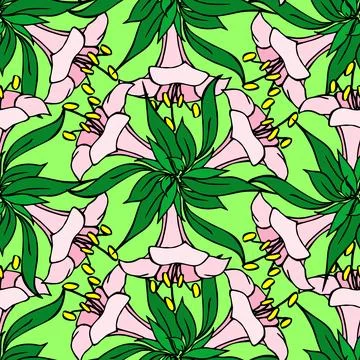 Seamless pattern of pink large exotic flowers with a black outline Stock Illustration
