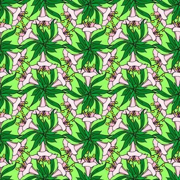 Seamless pattern of pink large exotic flowers with a black outline Stock Illustration