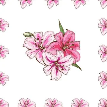 Seamless pattern with pink lilies flower on white background.  Stock Illustration