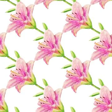 Seamless pattern with pink lily Stock Illustration