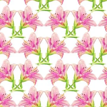Seamless pattern with pink lily Stock Illustration