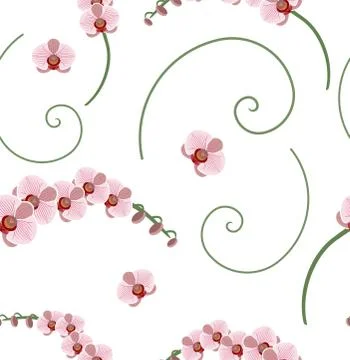 Seamless pattern pink orchid Stock Illustration