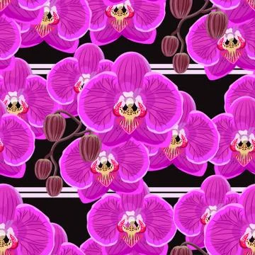 Seamless pattern with pink orchids on black background Stock Illustration