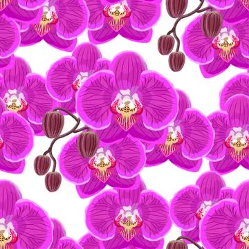Seamless pattern with pink orchids on white background Stock Illustration