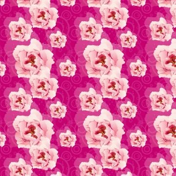 Seamless pattern with pink peonies Illustrazione stock