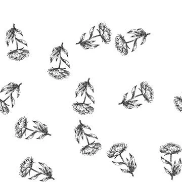 Seamless pattern pink peony sketch hand drawn Stock Illustration