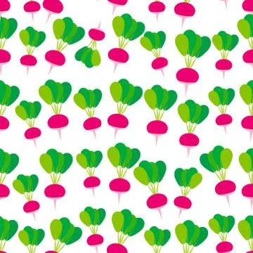 Seamless pattern with pink radish with green leaves, isolated on white backgr Stock Illustration