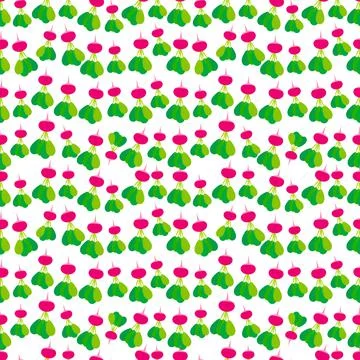 Seamless pattern with pink radish with green leaves, isolated on white backgr 스톡 일러스트