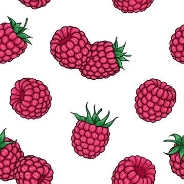 Seamless pattern pink raspberries with black contour on white background, s.. Illustrazione stock