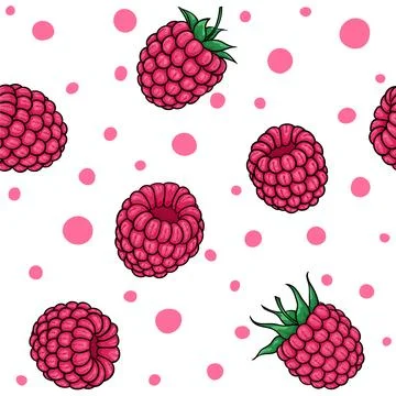 Seamless pattern pink raspberries with black contour on white background, s.. 스톡 일러스트