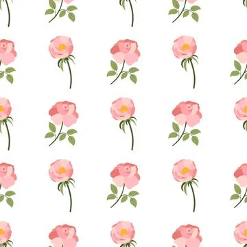 Seamless pattern with pink rose and peony on white background. 스톡 일러스트