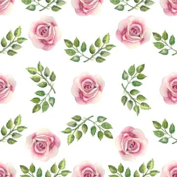 Seamless pattern. Pink rose flower, green leaves, decorative twigs on a white Stock Illustration
