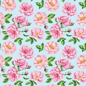 Seamless pattern with pink roses and leaves. Watercolor Flora for wallpapers Stock Illustration